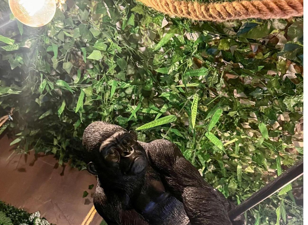 La Taniere De Mowgli - Plage Du Mole Agde Kültér fotó